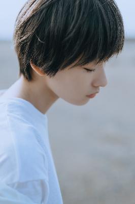 不眠日电视剧免费观看全集高清